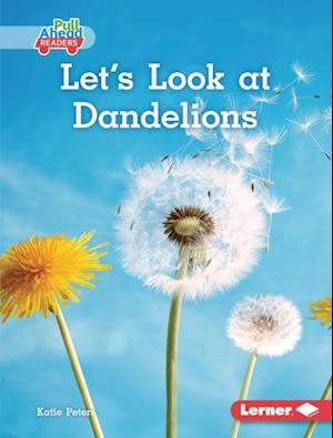 Let's Look at Dandelions