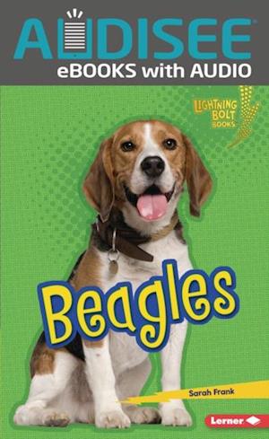 Beagles