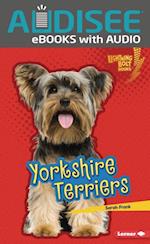 Yorkshire Terriers