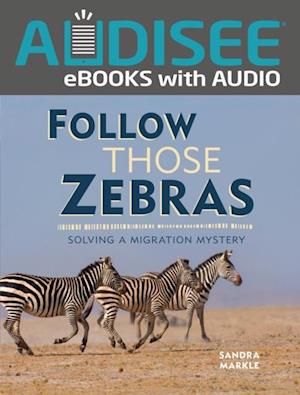 Follow Those Zebras