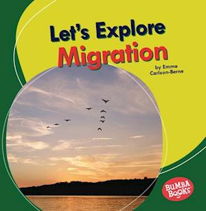 Let's Explore Migration