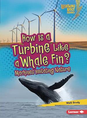 How Is a Turbine Like a Whale Fin?