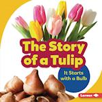 The Story of a Tulip