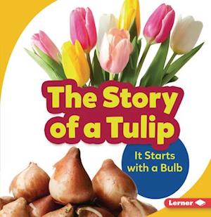 The Story of a Tulip