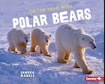 On the Hunt with Polar Bears