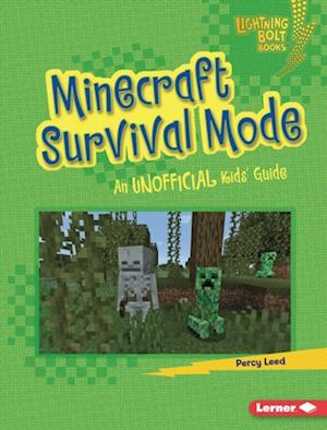 Minecraft Survival Mode