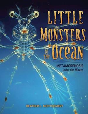 Little Monsters of the Ocean