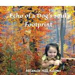 Echo of a Dog