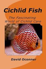 Cichlid Fish
