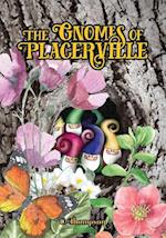 The Gnomes of Placerville