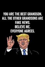 You Are the Best Grandson. All the Other Grandsons Are Fake News. Believe Me. Everyone Agrees.