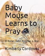 Baby Mouse Learns to Pray