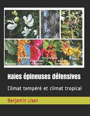 Haies épineuses défensives