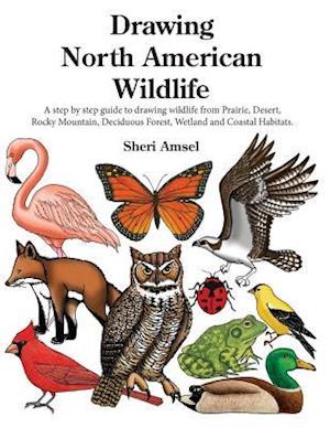 Drawing North American Wildlife