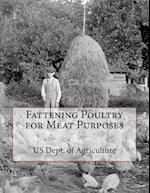 Fattening Poultry for Meat Purposes