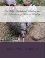 The Blue Andalusian Chicken and the Inheritance of Blue in Poultry