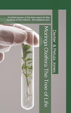 Moringa Oleifera--The Tree of Life