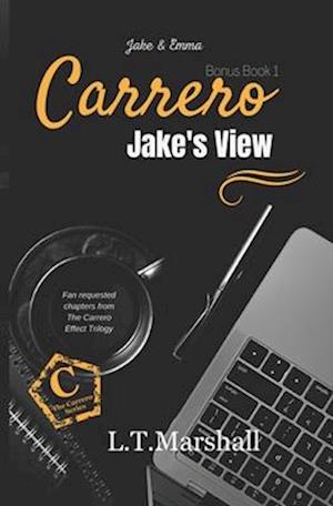 Jake's view : Fan requested chapters in Jake's POV