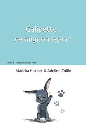 Galipette Ce Mignon Lapin