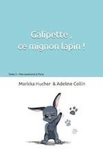 Galipette Ce Mignon Lapin