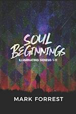 Soul Beginnings