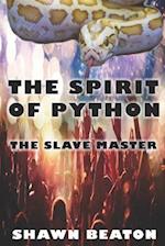 The Spirit of Python