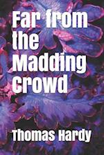 Far from the Madding Crowd