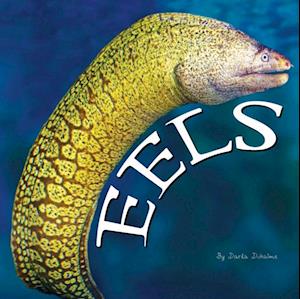 Eels