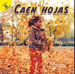 Caen hojas