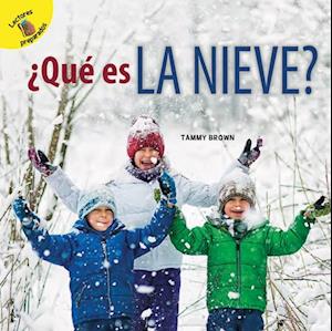 ¿Qué es la nieve?