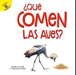 ¿Qué comen las aves?