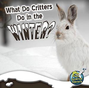 What Do Critters Do In The Winter?