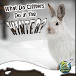 What Do Critters Do In The Winter?