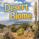 Seasons Of The Desert Biome