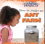 How to Make an Ant Farm