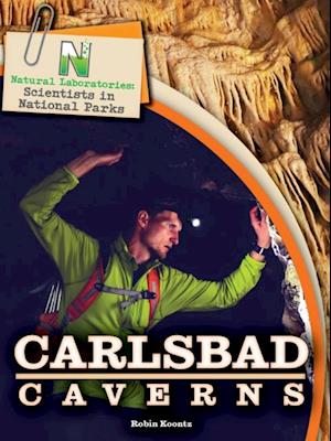 Natural Laboratories: Scientists in National Parks Carlsbad Caverns