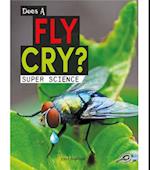 Does a Fly Cry?