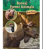 Boreal Forest Animals