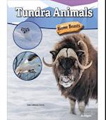 Tundra Animals