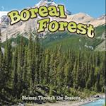 Seasons Of The Boreal Forest Biome