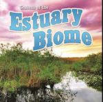 Seasons Of The Estuary Biome