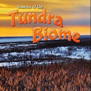 Seasons Of The Tundra Biome