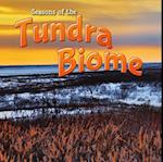 Seasons Of The Tundra Biome