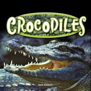 Crocodiles