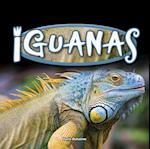 Iguanas