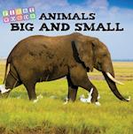 Animals Big and Small