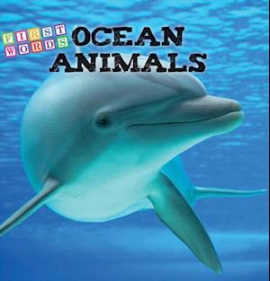 Ocean Animals