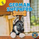 German Shepherd Puppies