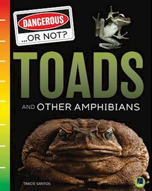 Toads and Other Amphibians