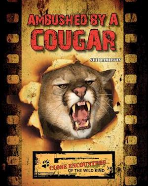 Ambushed by a Cougar